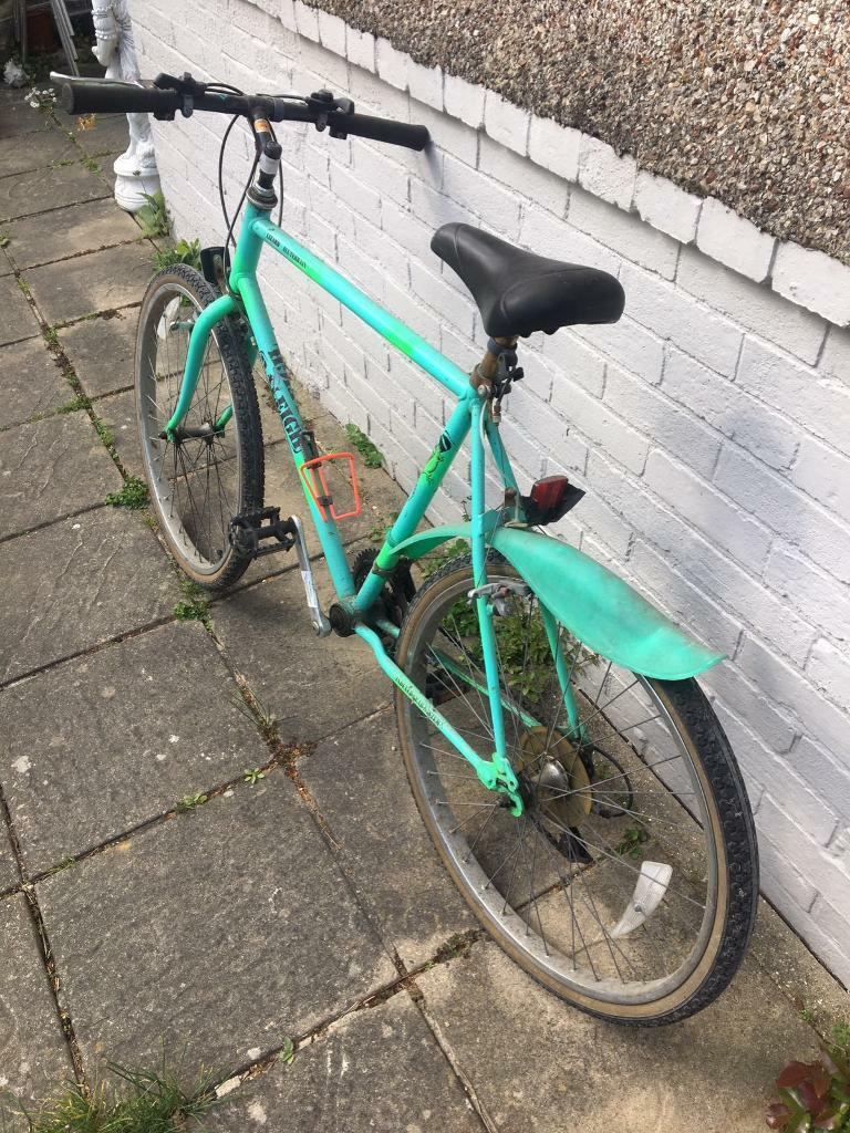 raleigh lizard mountain bike